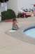 resIMG_20120625_1161.JPG